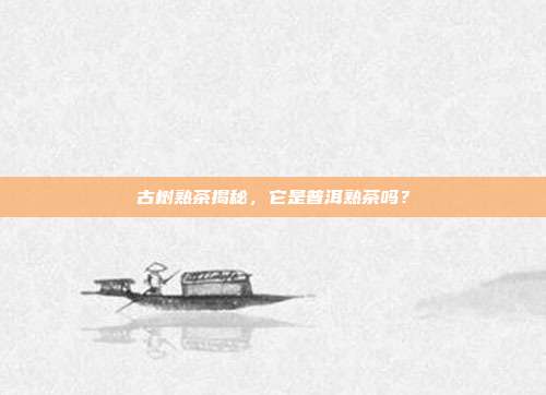 古树熟茶揭秘，它是普洱熟茶吗？