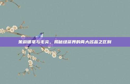 茉莉银毫与毛尖，揭秘绿茶界的两大名品之区别