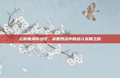 云南普洱市经济，茶香四溢中的多元发展之路