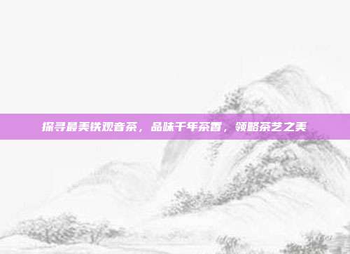 探寻最美铁观音茶，品味千年茶香，领略茶艺之美