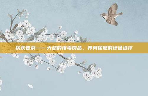 铁观音茶——天然的排毒良品，养身保健的绿色选择