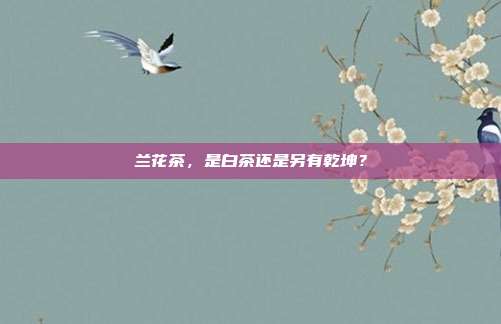 兰花茶，是白茶还是另有乾坤？
