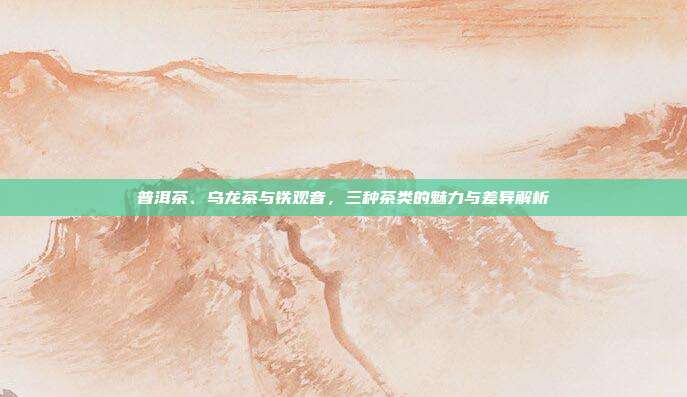 普洱茶、乌龙茶与铁观音，三种茶类的魅力与差异解析