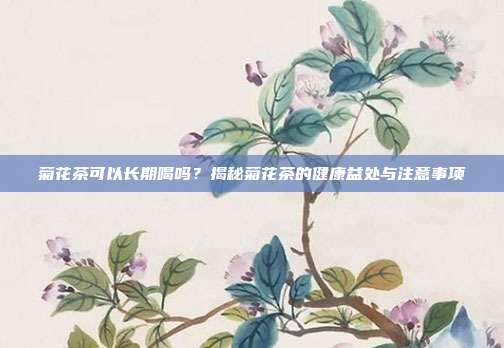 菊花茶可以长期喝吗？揭秘菊花茶的健康益处与注意事项