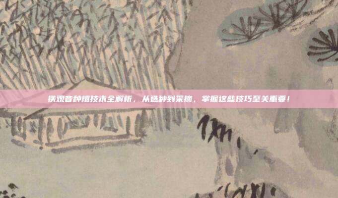 铁观音种植技术全解析，从选种到采摘，掌握这些技巧至关重要！