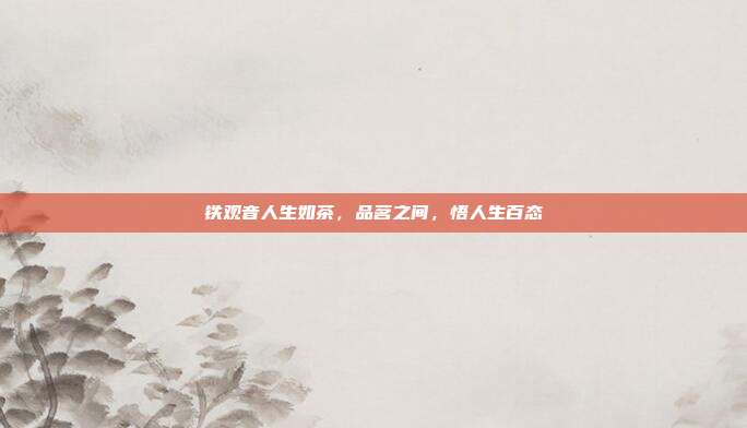 铁观音人生如茶，品茗之间，悟人生百态