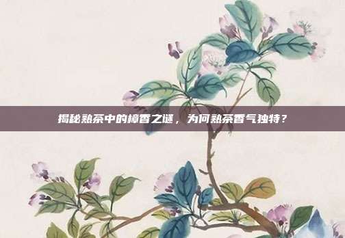 揭秘熟茶中的樟香之谜，为何熟茶香气独特？