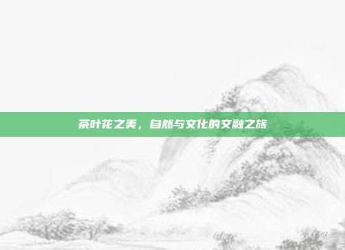 茶叶花之美，自然与文化的交融之旅
