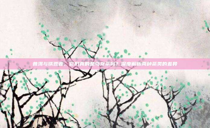 普洱与铁观音，它们真的是乌龙茶吗？深度解析两种茶类的差异