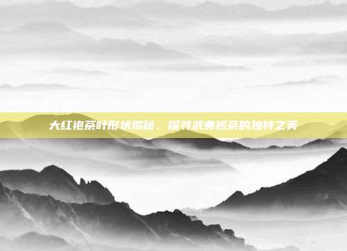 大红袍茶叶形状揭秘，探寻武夷岩茶的独特之美