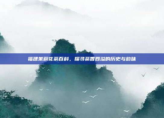 福建茉莉花茶百科，探寻茶香四溢的历史与韵味