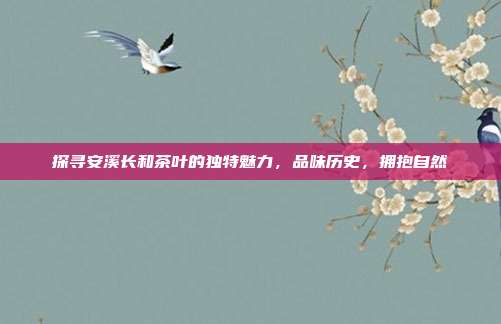 探寻安溪长和茶叶的独特魅力，品味历史，拥抱自然