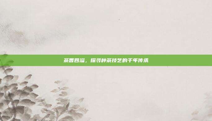 茶香四溢，探寻种茶技艺的千年传承