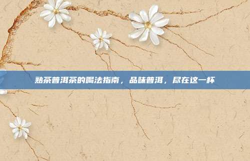 熟茶普洱茶的喝法指南，品味普洱，尽在这一杯