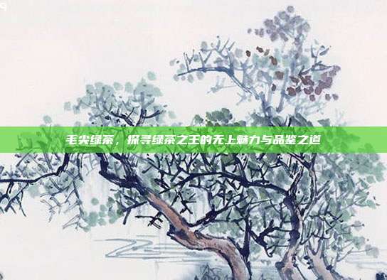 毛尖绿茶，探寻绿茶之王的无上魅力与品鉴之道