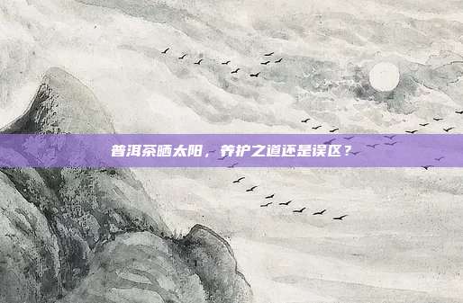 普洱茶晒太阳，养护之道还是误区？