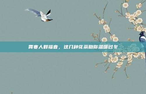 胃寒人群福音，这几种花茶助你温暖过冬
