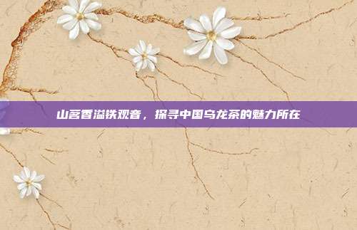 山茗香溢铁观音，探寻中国乌龙茶的魅力所在