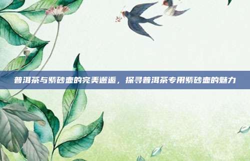 普洱茶与紫砂壶的完美邂逅，探寻普洱茶专用紫砂壶的魅力