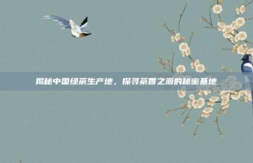 揭秘中国绿茶生产地，探寻茶香之源的秘密基地