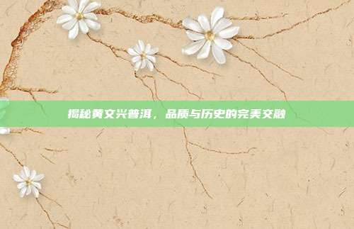 揭秘黄文兴普洱，品质与历史的完美交融