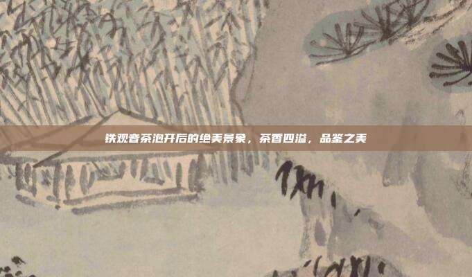 铁观音茶泡开后的绝美景象，茶香四溢，品鉴之美