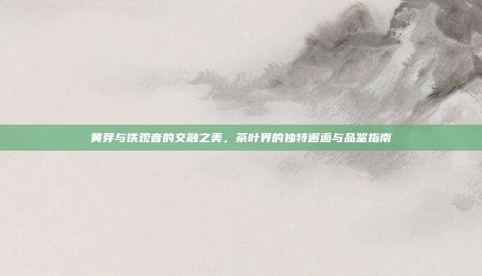 黄芽与铁观音的交融之美，茶叶界的独特邂逅与品鉴指南