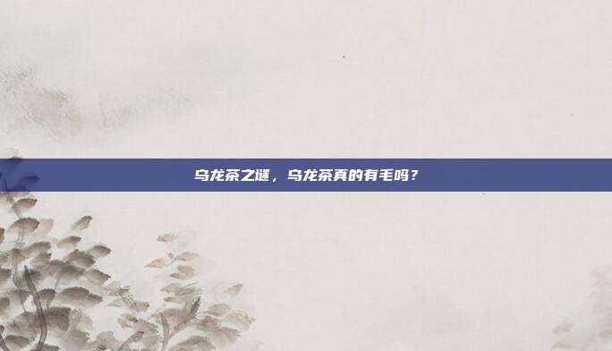 乌龙茶之谜，乌龙茶真的有毛吗？