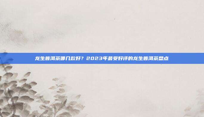 龙生普洱茶哪几款好？2023年最受好评的龙生普洱茶盘点
