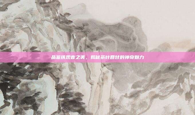 品鉴铁观音之美，揭秘茶叶回甘的神奇魅力
