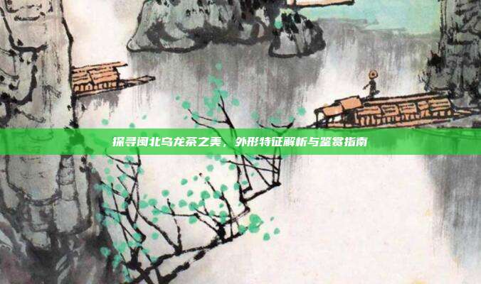 探寻闽北乌龙茶之美，外形特征解析与鉴赏指南