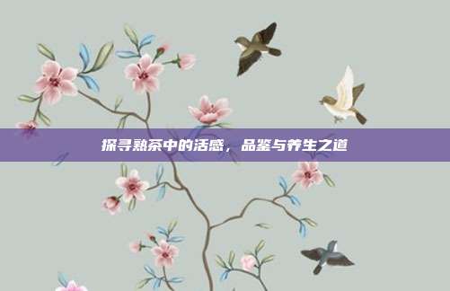 探寻熟茶中的活感，品鉴与养生之道