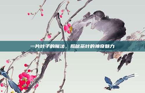 一片叶子的魔法，揭秘茶叶的神奇魅力