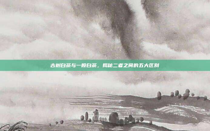 古树白茶与一般白茶，揭秘二者之间的五大区别