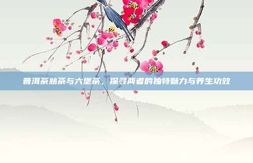 普洱茶熟茶与六堡茶，探寻两者的独特魅力与养生功效