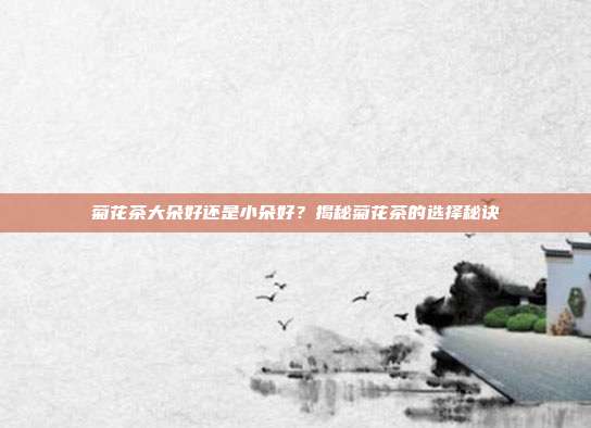 菊花茶大朵好还是小朵好？揭秘菊花茶的选择秘诀