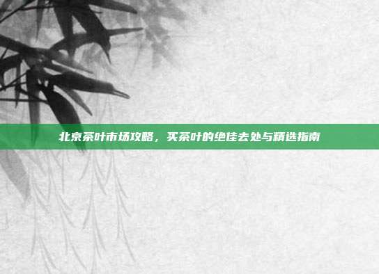 北京茶叶市场攻略，买茶叶的绝佳去处与精选指南