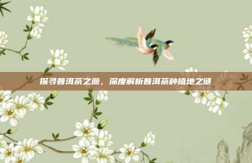 探寻普洱茶之源，深度解析普洱茶种植地之谜
