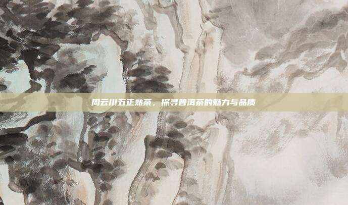 周云川五正熟茶，探寻普洱茶的魅力与品质