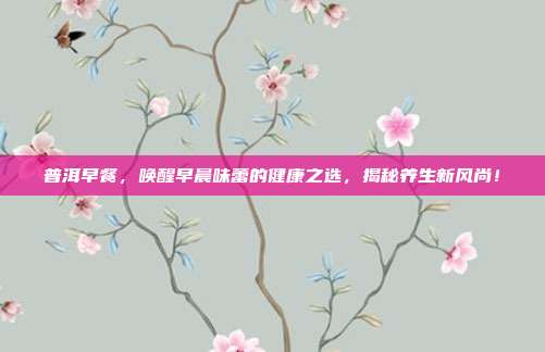 普洱早餐，唤醒早晨味蕾的健康之选，揭秘养生新风尚！