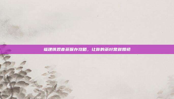 福建铁观音茶保存攻略，让你的茶叶常鲜如初