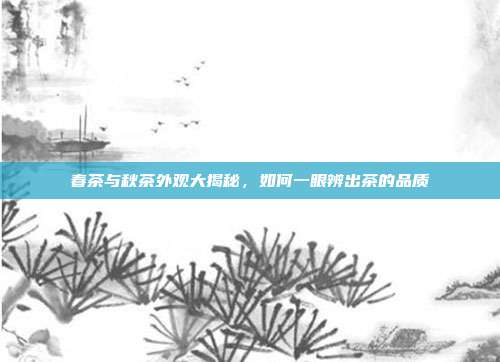 春茶与秋茶外观大揭秘，如何一眼辨出茶的品质