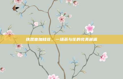 铁观音加桂花，一场茶与花的完美邂逅