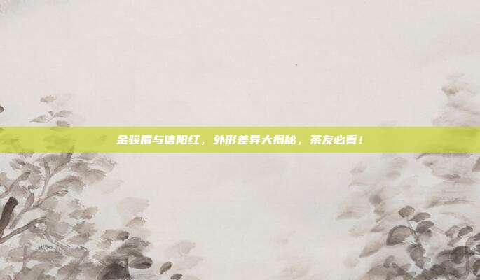 金骏眉与信阳红，外形差异大揭秘，茶友必看！