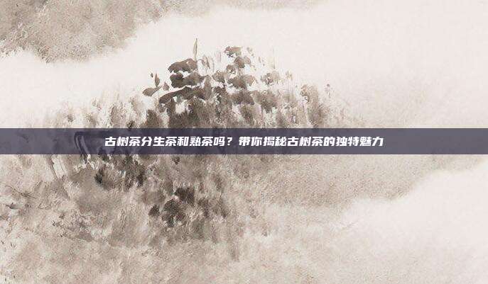 古树茶分生茶和熟茶吗？带你揭秘古树茶的独特魅力