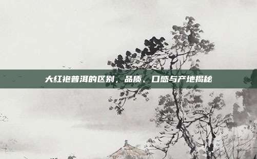 大红袍普洱的区别，品质、口感与产地揭秘