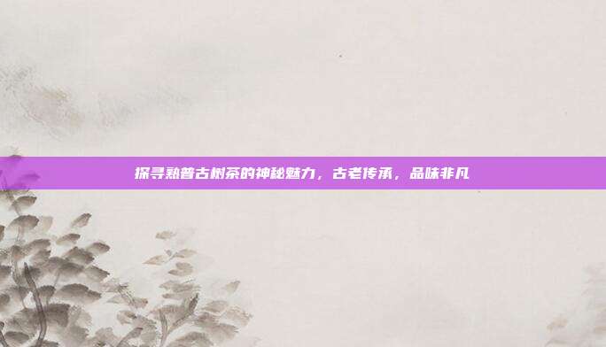 探寻熟普古树茶的神秘魅力，古老传承，品味非凡