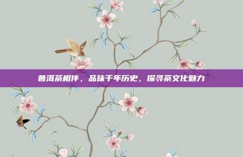 普洱茶相伴，品味千年历史，探寻茶文化魅力