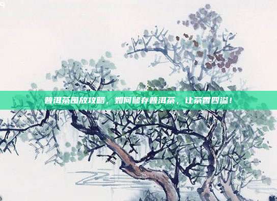 普洱茶囤放攻略，如何储存普洱茶，让茶香四溢！