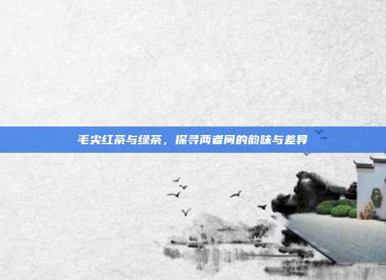 毛尖红茶与绿茶，探寻两者间的韵味与差异